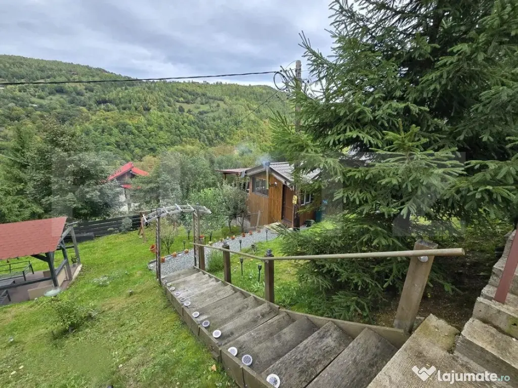 Cabană 62 mp construiti, teren de 750 mp, Valea Ierii