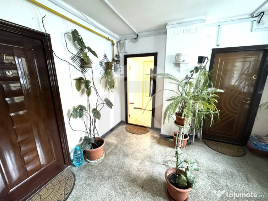 De inchiriat apartament 2 camere, Nord, Judetean, Cameliei