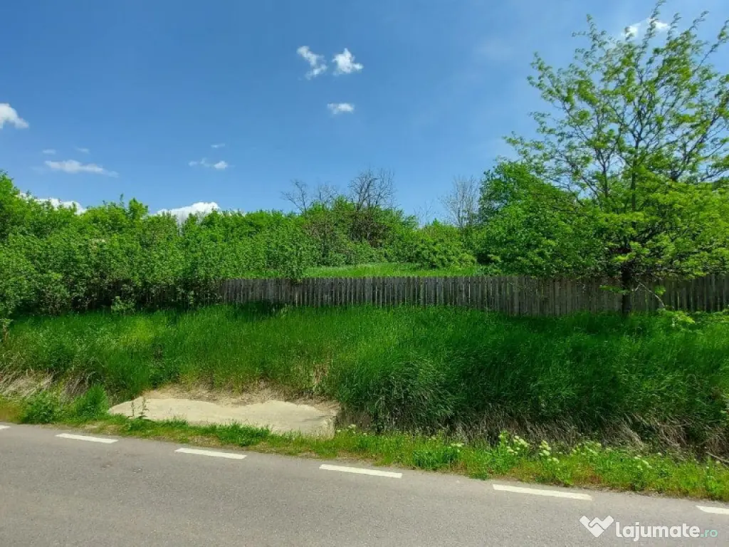 Teren intravilan 1490 MP Bratuleni Miroslava 