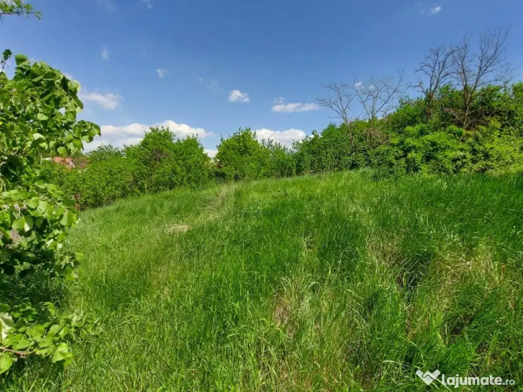 Teren intravilan 1490 MP Bratuleni Miroslava 