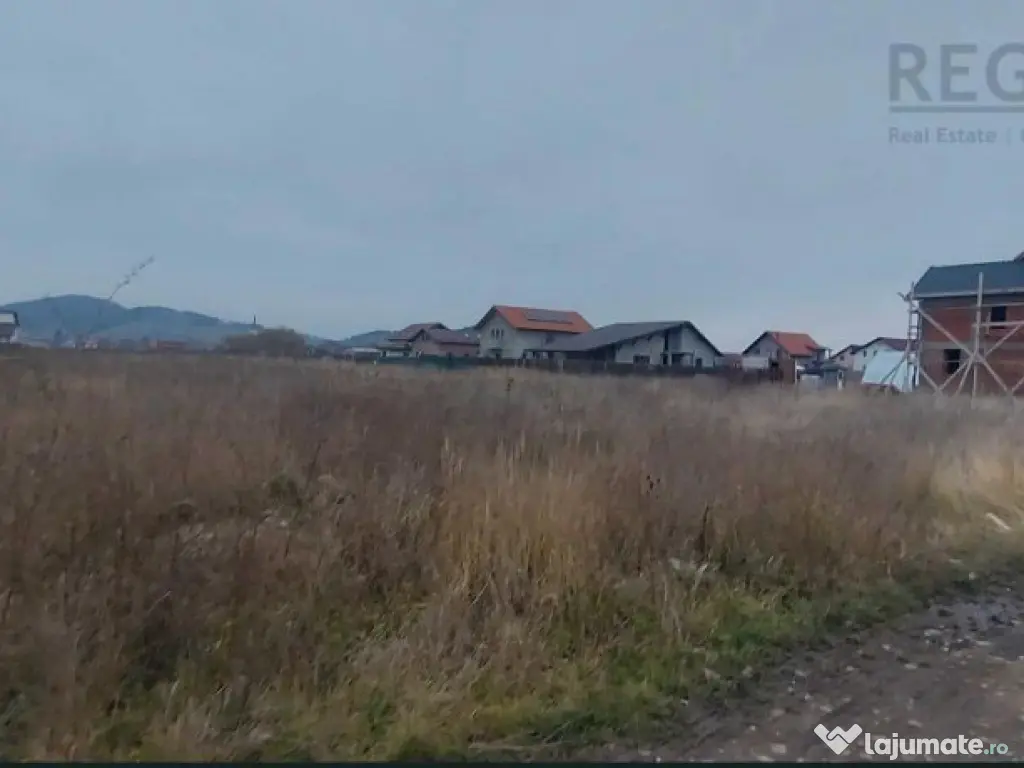 Teren Intravilan 700MP Si Proiect Sanpetru