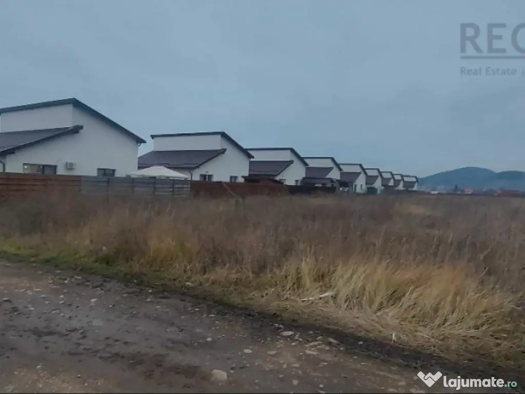 Teren Intravilan 700MP Si Proiect Sanpetru