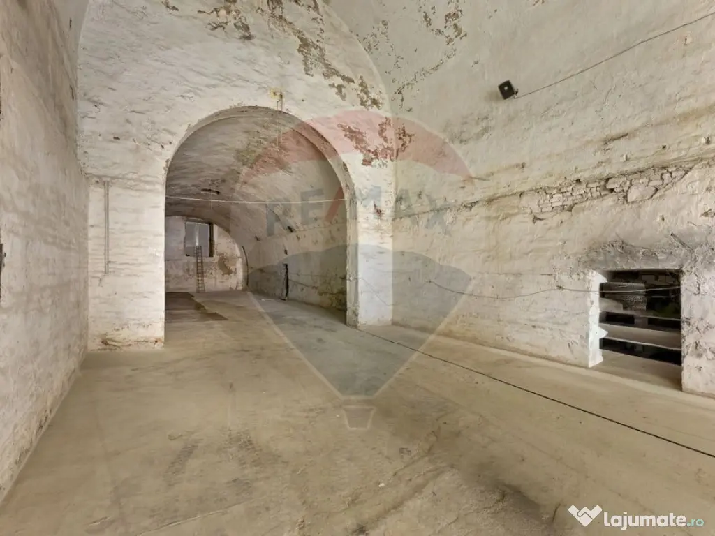 Spațiu comercial de 500mp de închiriat în zona Aradul Nou 