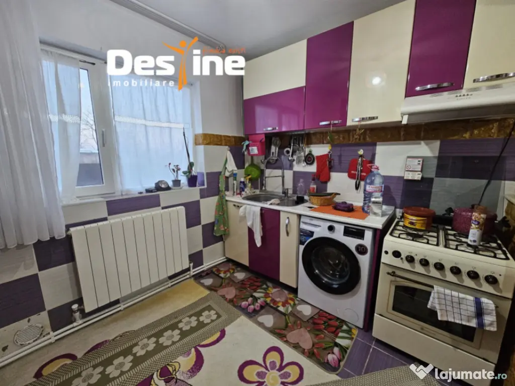 Casa cu etaj si mansarda, 7.200 mp teren, in comuna Probota 