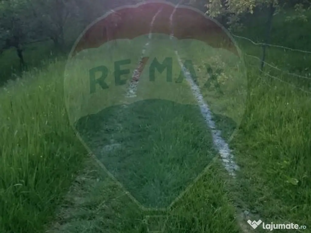 LOCATIE DEOSEBITA - Miron Costin 