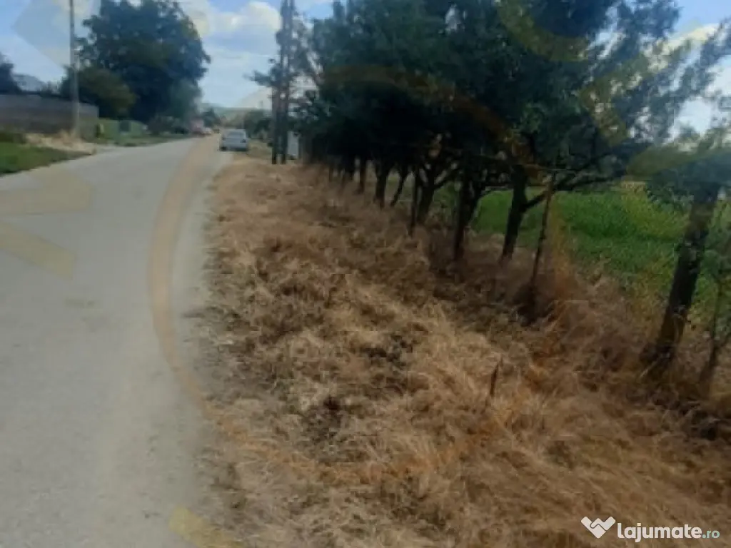 TEREN ZONA MUZEUL GOLESTI ARGES!! 