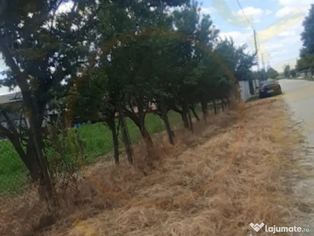 TEREN ZONA MUZEUL GOLESTI ARGES!! 