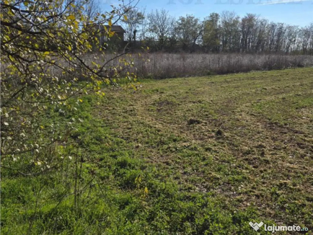 Teren intravilan, 3751mp oportunitate de investitie, cu util 