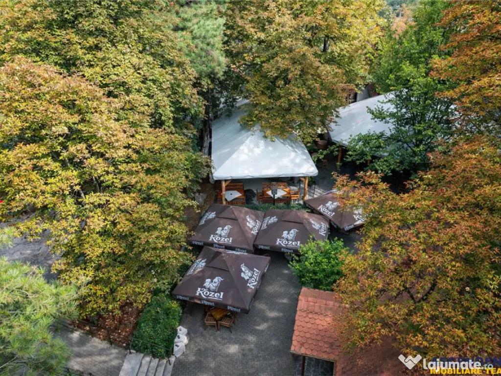 Complex Gastronomic:Afacere la cheie, Restaurant traditional 