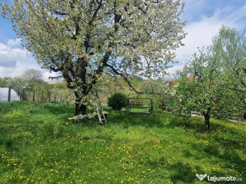 Casa - 1500 mp de teren - zona rezidențială schit 