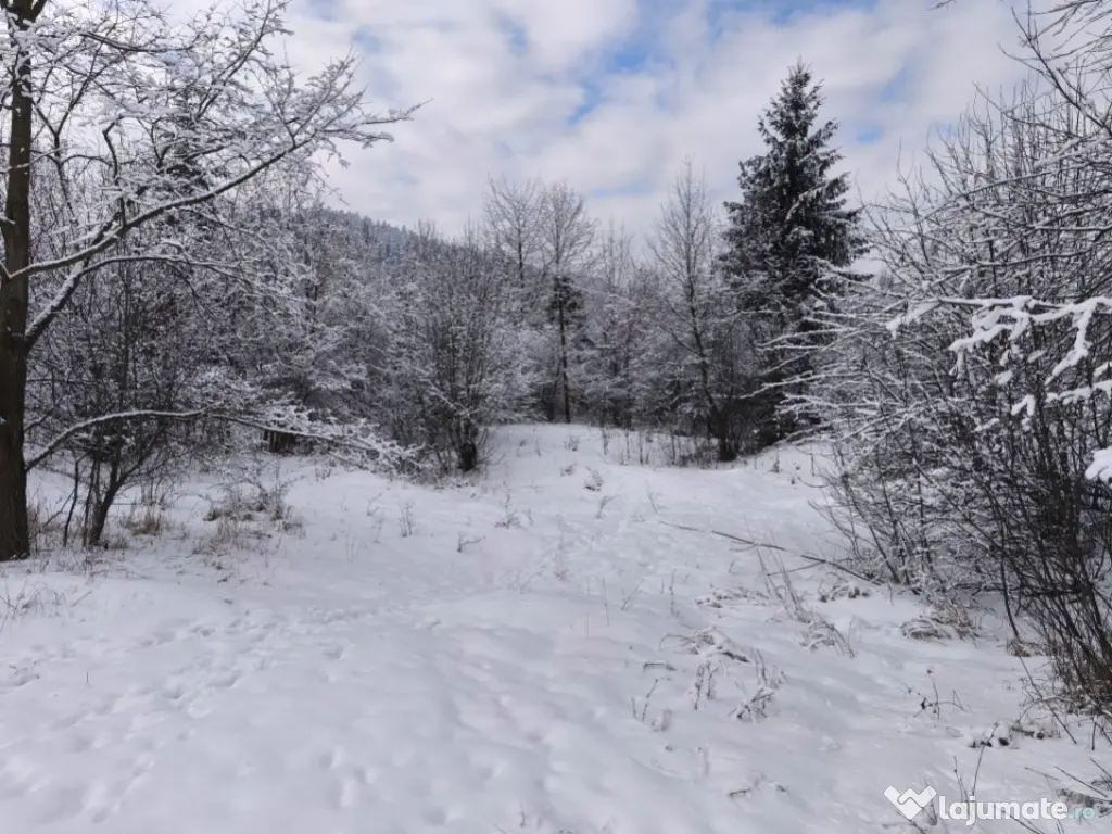 Teren intravilan, 22600mp, zona Manastirea Sucevita