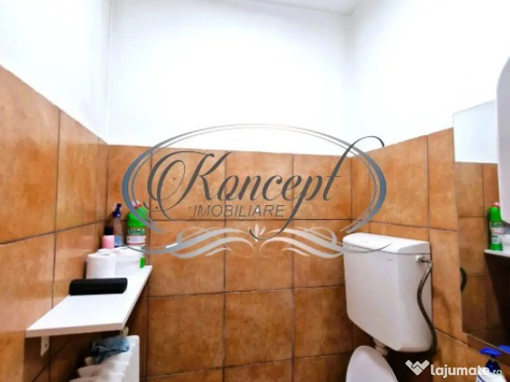 Spatiu de Birouri pe Strada Paris