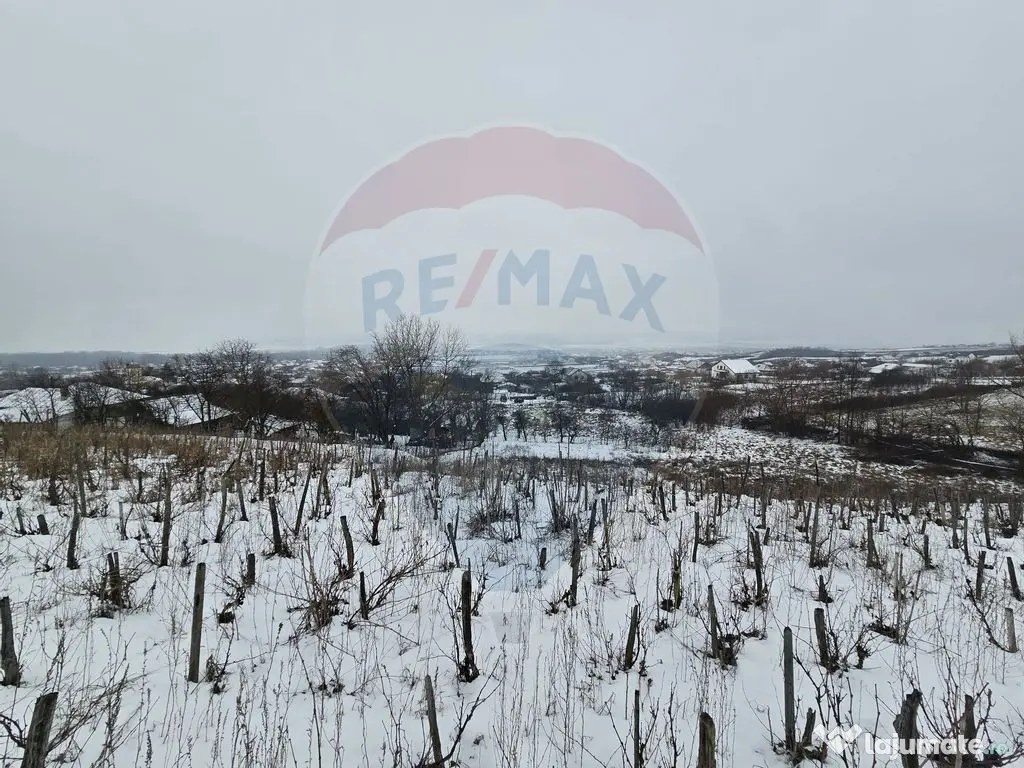 Teren intravilan 7000 mp Simnic, Izvor