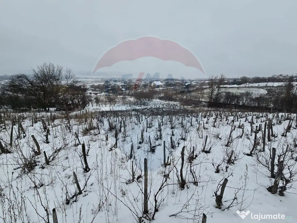 Teren intravilan 7000 mp Simnic, Izvor