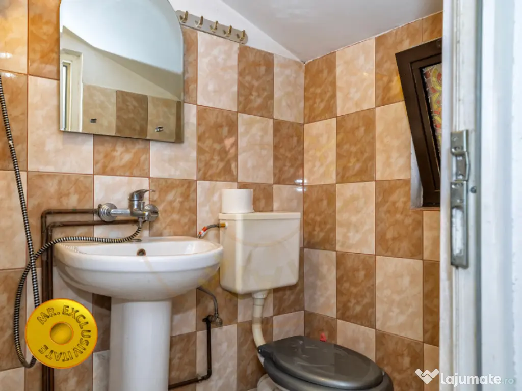 Teren si casa Turcesti