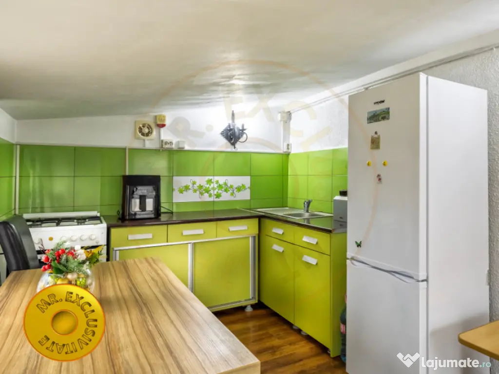 Teren si casa Turcesti