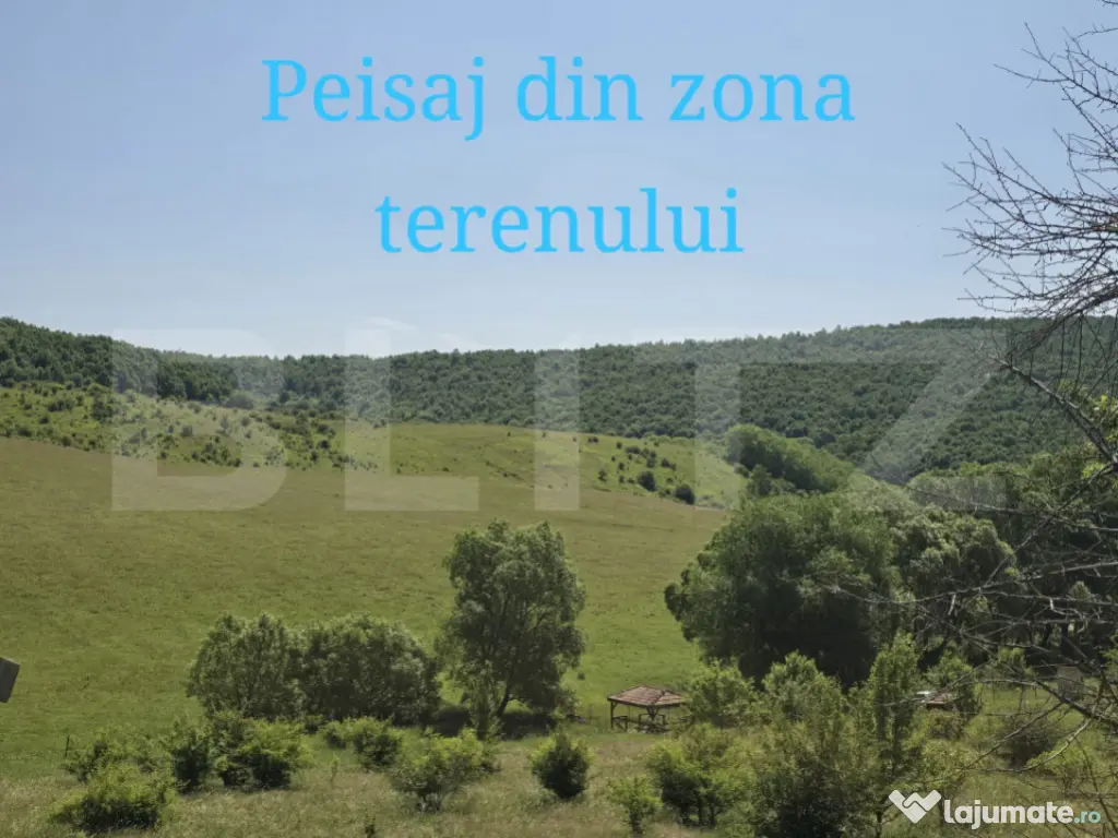 Teren intravilan construibil in Salicea