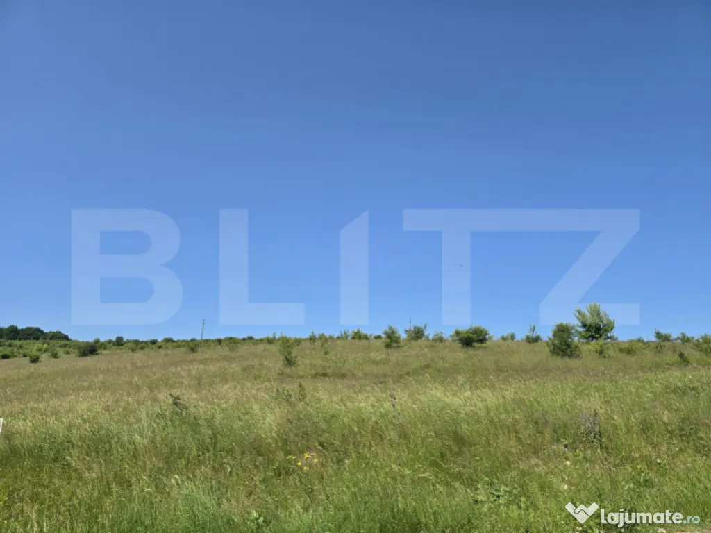 Teren intravilan construibil in Salicea