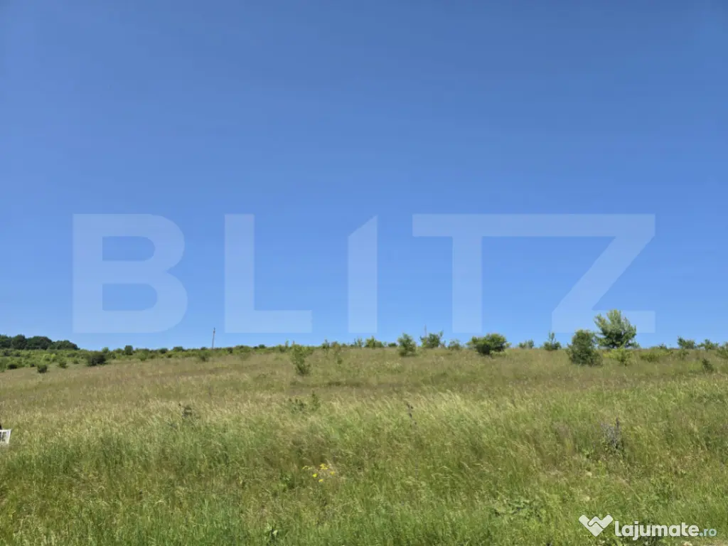 Teren intravilan construibil in Salicea