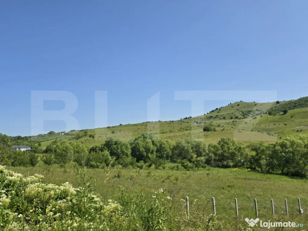 Teren intravilan construibil in Salicea