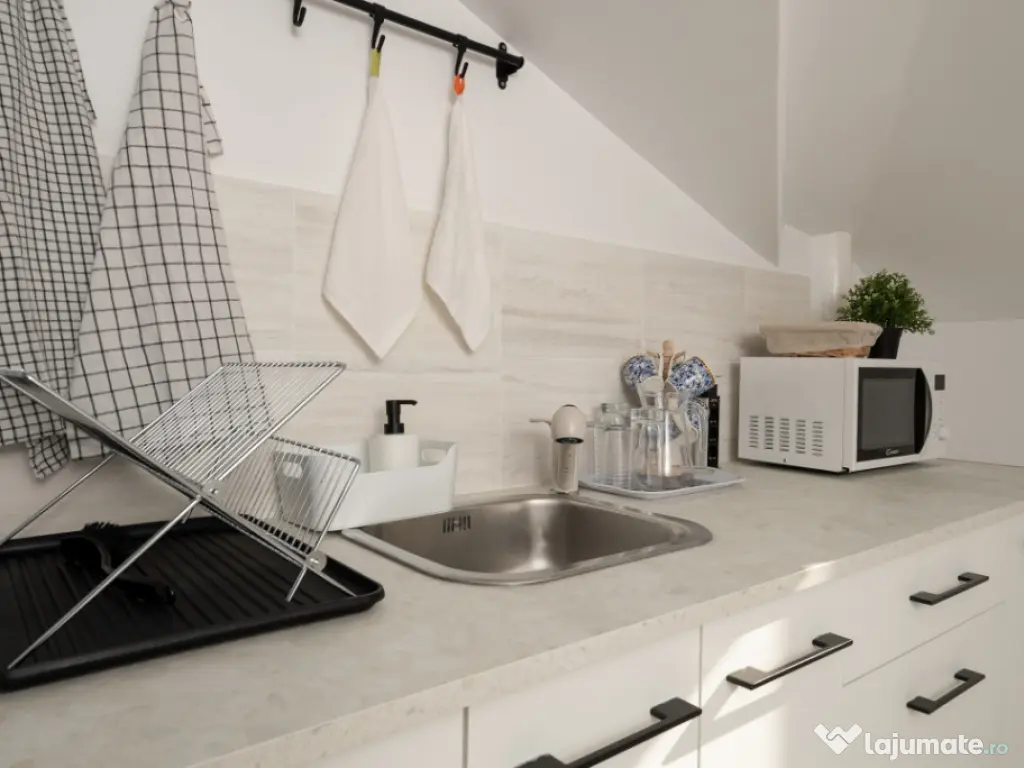 Garsoniera in Vila Interbelica-Foisorul de Foc 