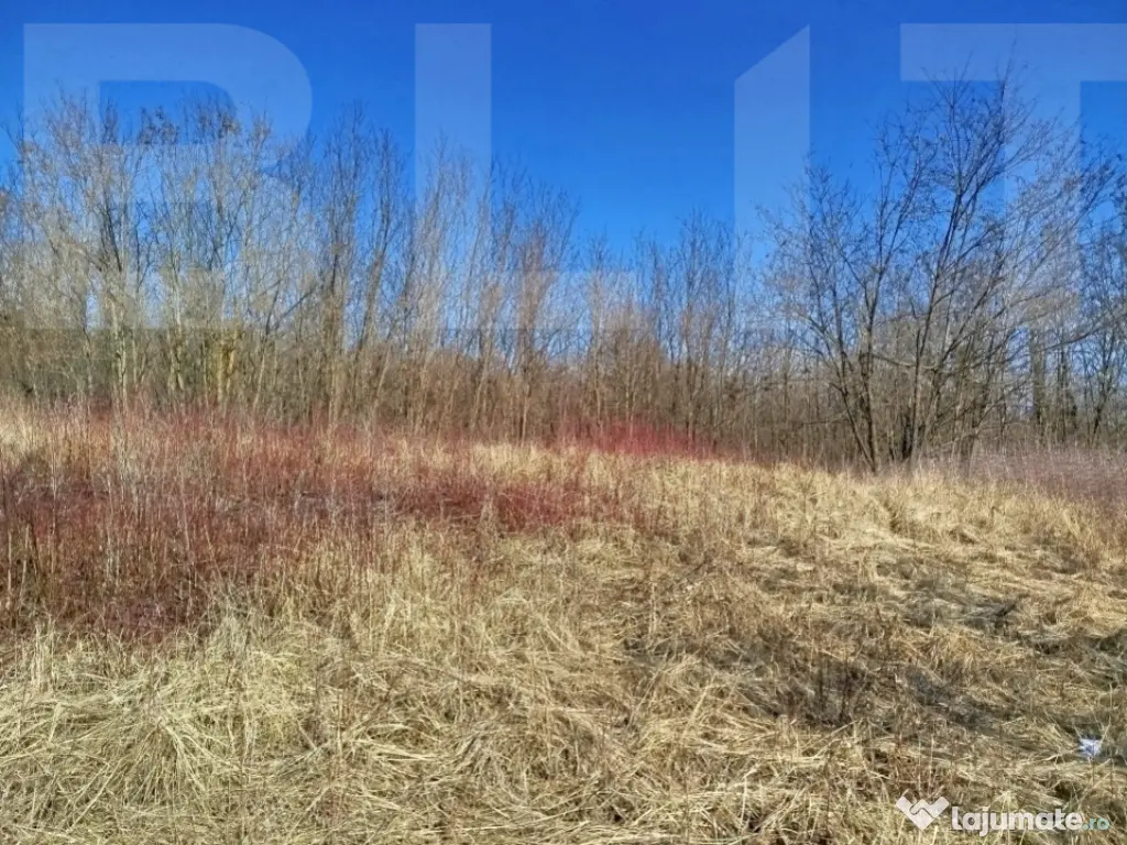 Casa de vanzare, necesita revonare, 200 mp+10.000 mp teren -