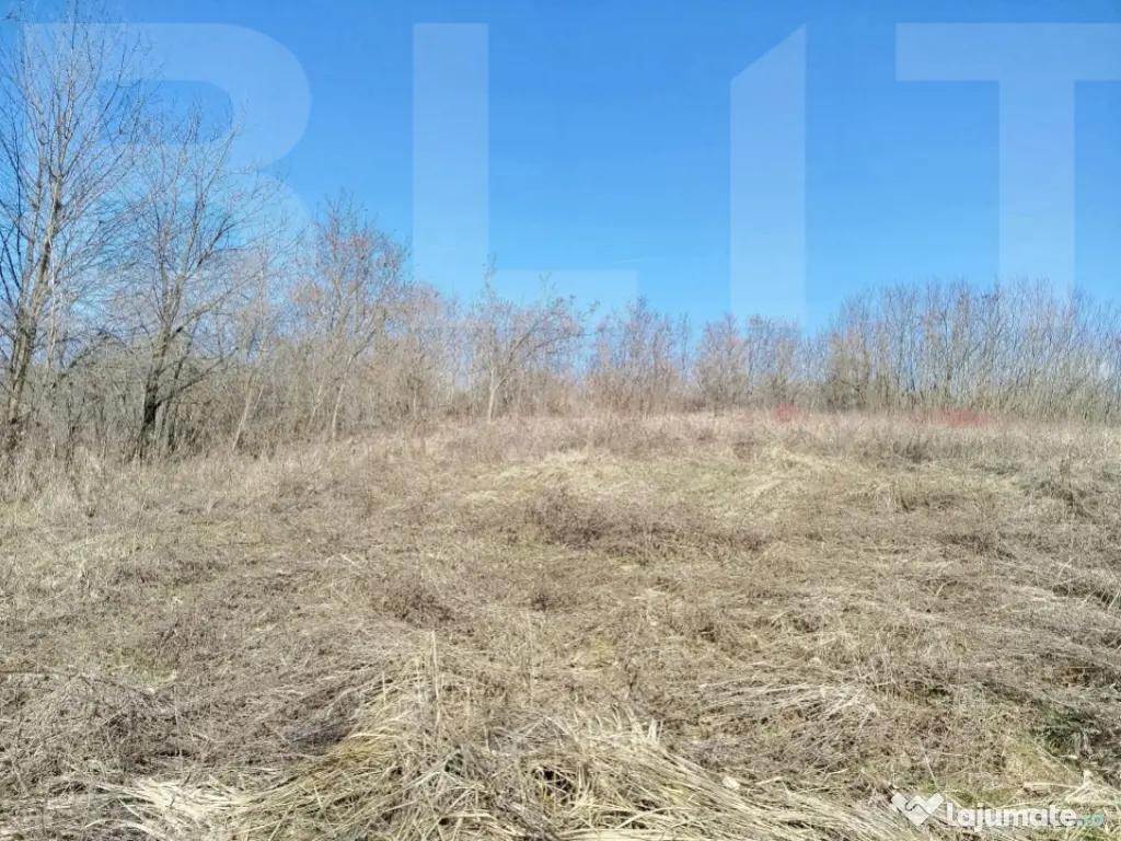 Casa de vanzare, necesita revonare, 200 mp+10.000 mp teren -