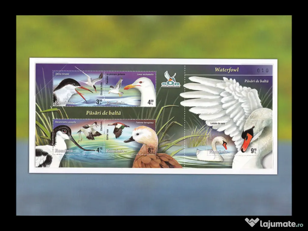Album filatelic romania~Pasari de balta 2015 