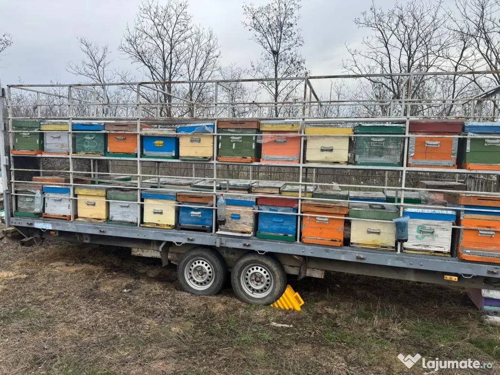 2 Remorci Apicole Stare Foarte Buna 32/48 Stupi Transport si Suparit