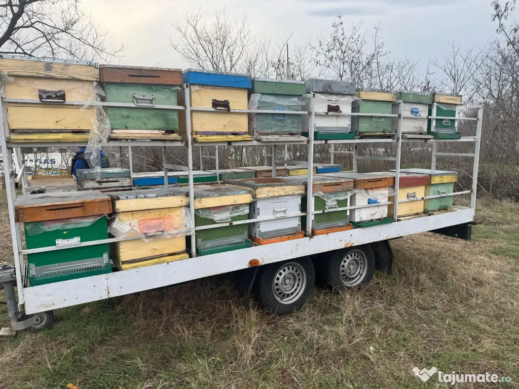 2 Remorci Apicole Stare Foarte Buna 32/48 Stupi Transport si Suparit