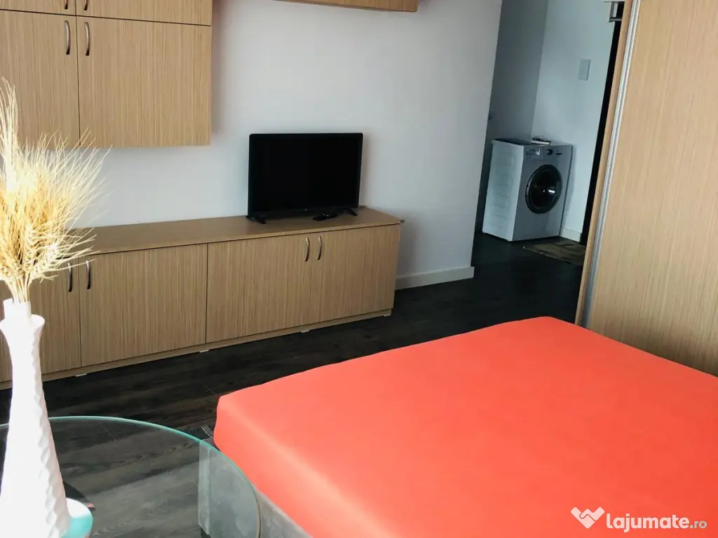 Persoana fizică Apartament 1 camera Conest Tudor o camera 