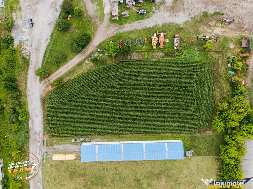 FILM! 4.600mp,aria industriala,utilitati aproape:hala,depozi 