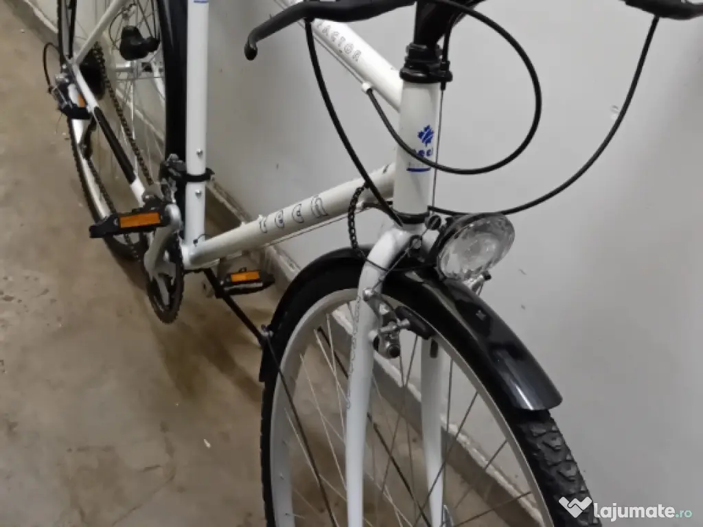 Cursiera de oras pe 28