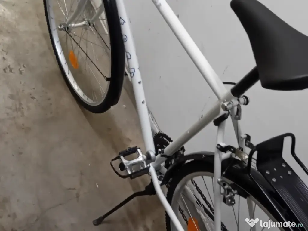 Cursiera de oras pe 28