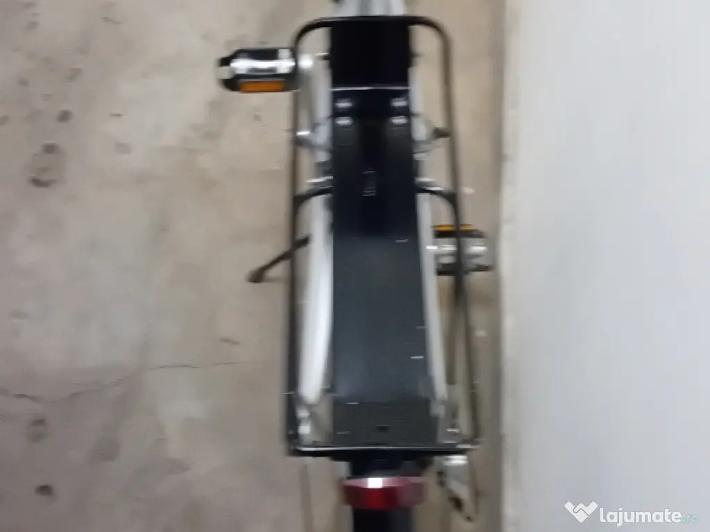 Cursiera de oras pe 28