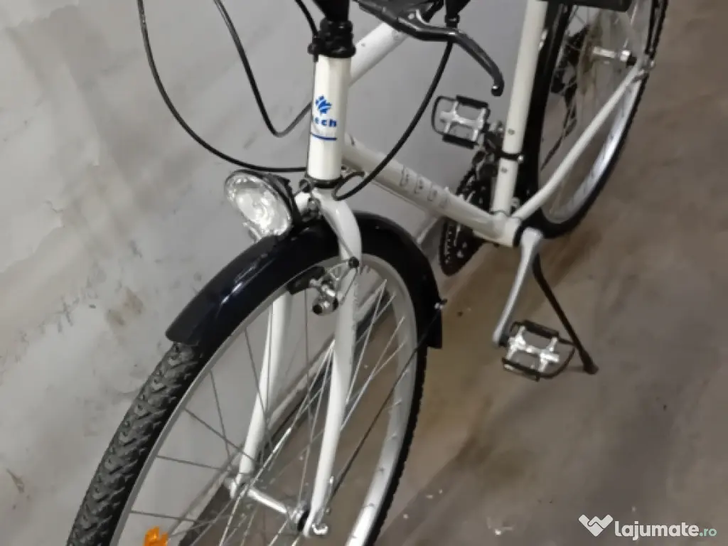 Cursiera de oras pe 28