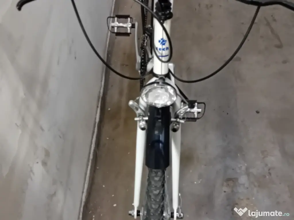 Cursiera de oras pe 28