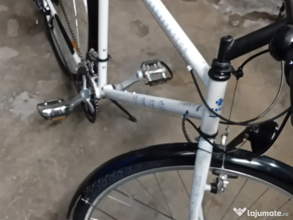 Cursiera de oras pe 28