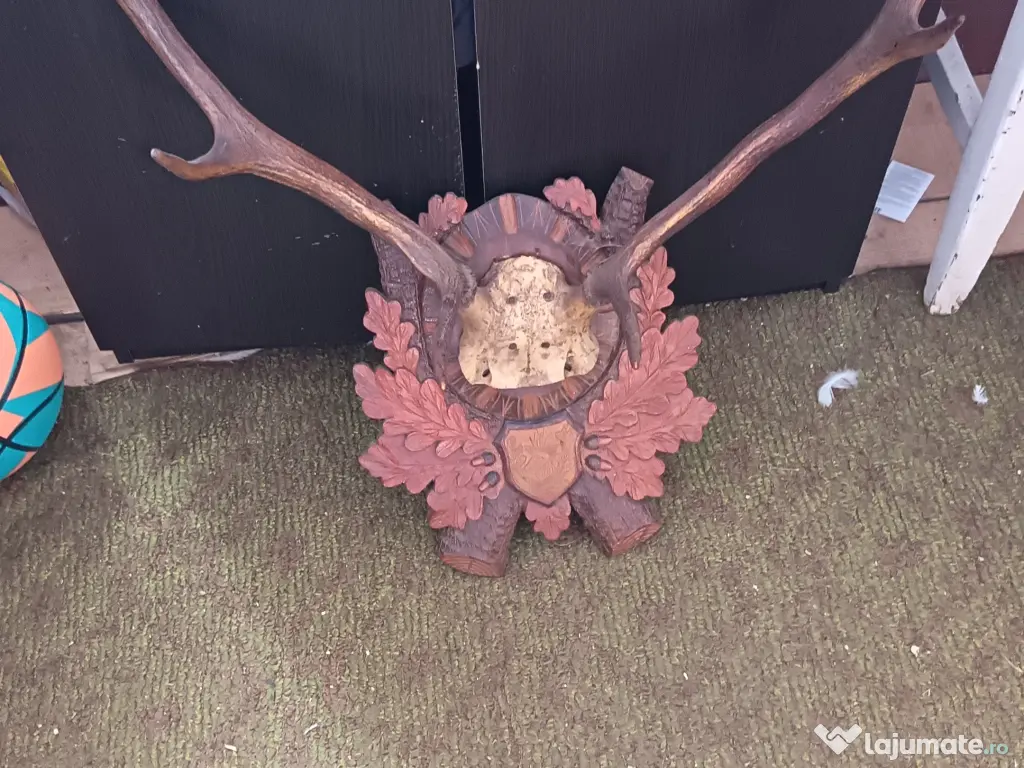 Coarne de cerb carpatin și cocoș de munte