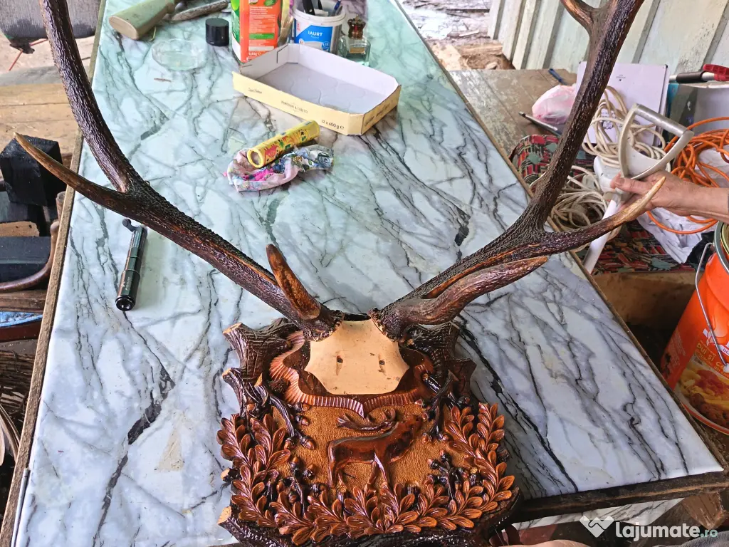 Coarne de cerb carpatin și cocoș de munte