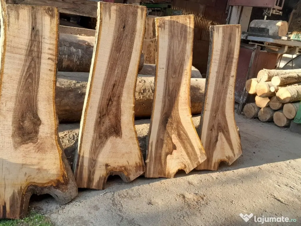 rondele si blaturi din lemn