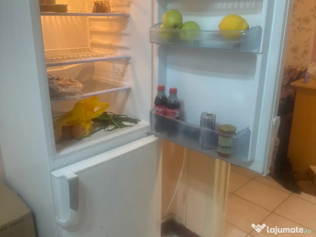 Frigider cu congelator 