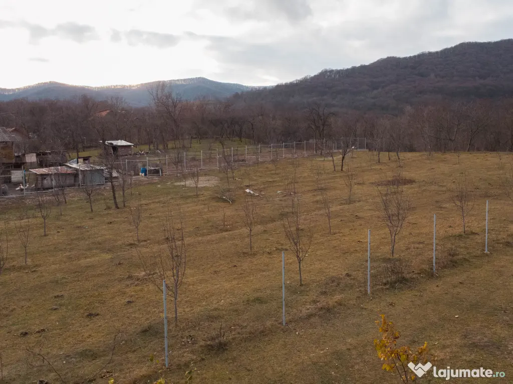 Teren de vânzare – 5.100 mp 