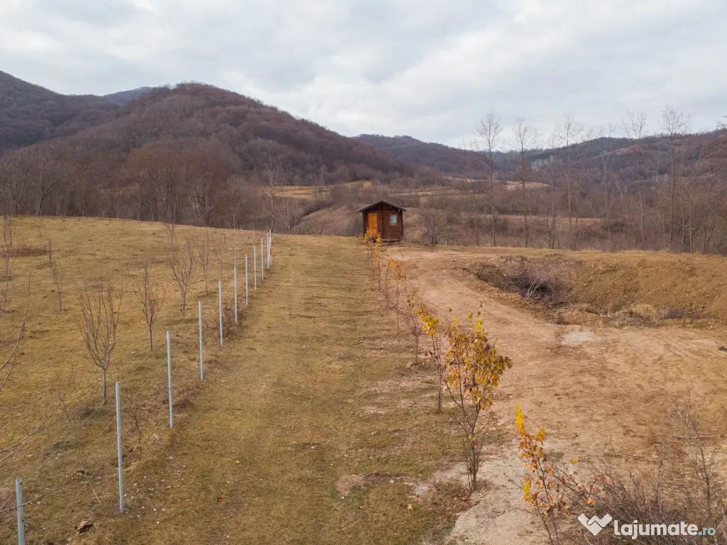 Teren de vânzare – 5.100 mp 