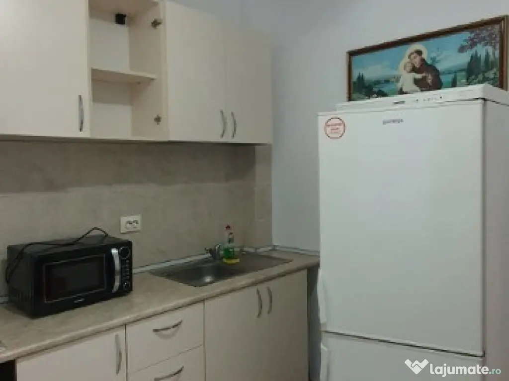 Garsoniera Metrou 1 Decembrie_Complex Nou