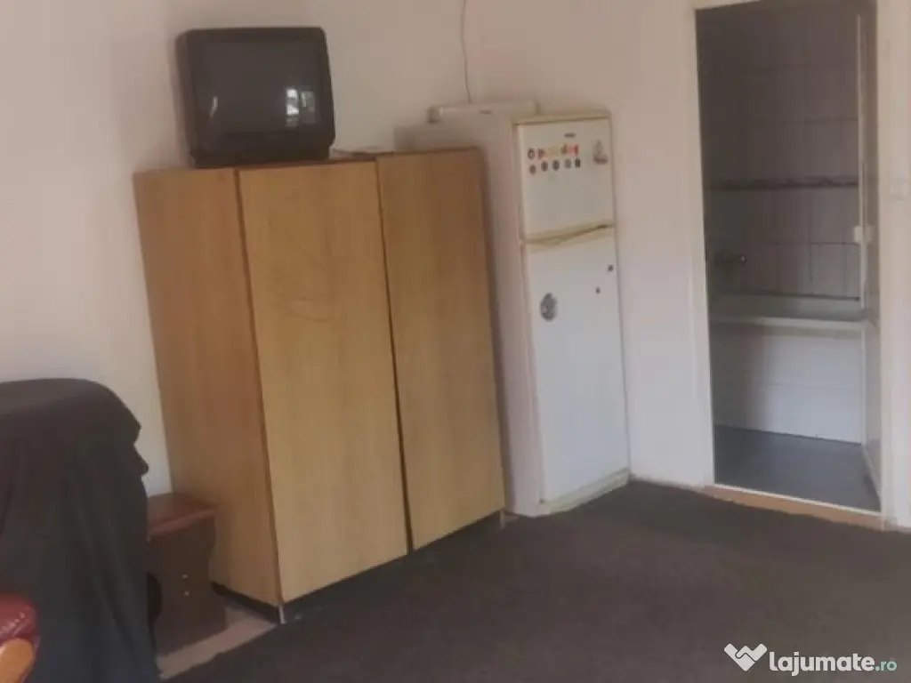 Garsonieră și curte Trivale Pitesti (reducere)