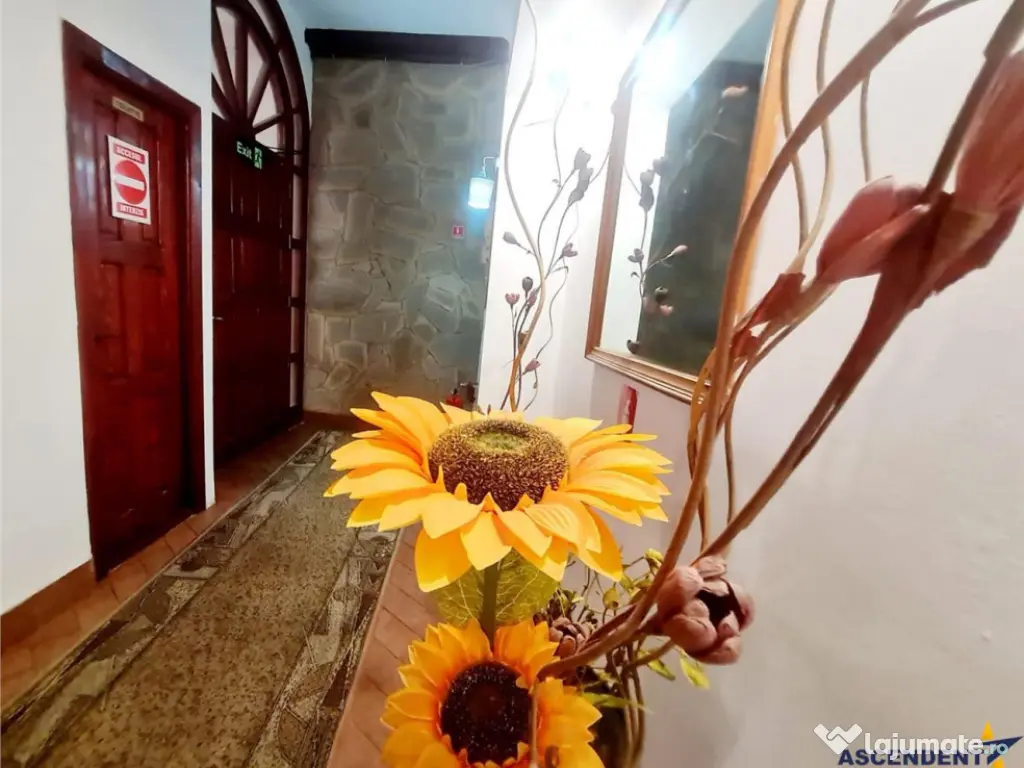 Preluare afacere pensiune administrare in regim turistic, Ce 