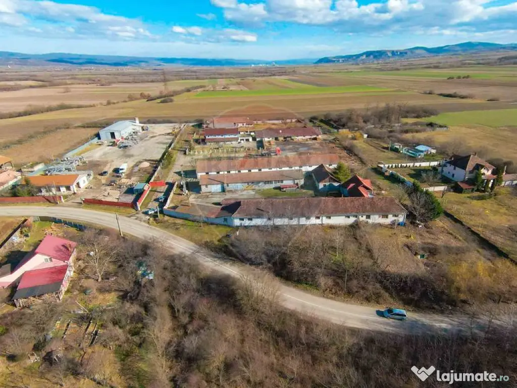 De vânzare spațiu industrial în Loc. Tileagd–Tilecuș 