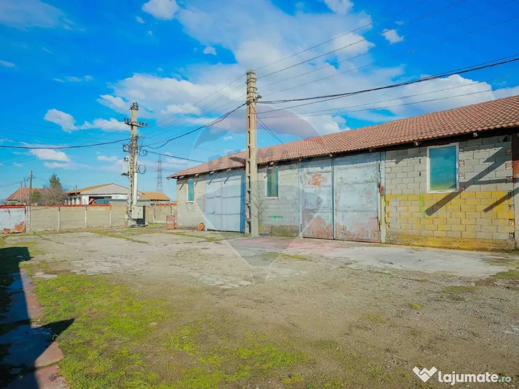 De vânzare spațiu industrial în Loc. Tileagd–Tilecuș 