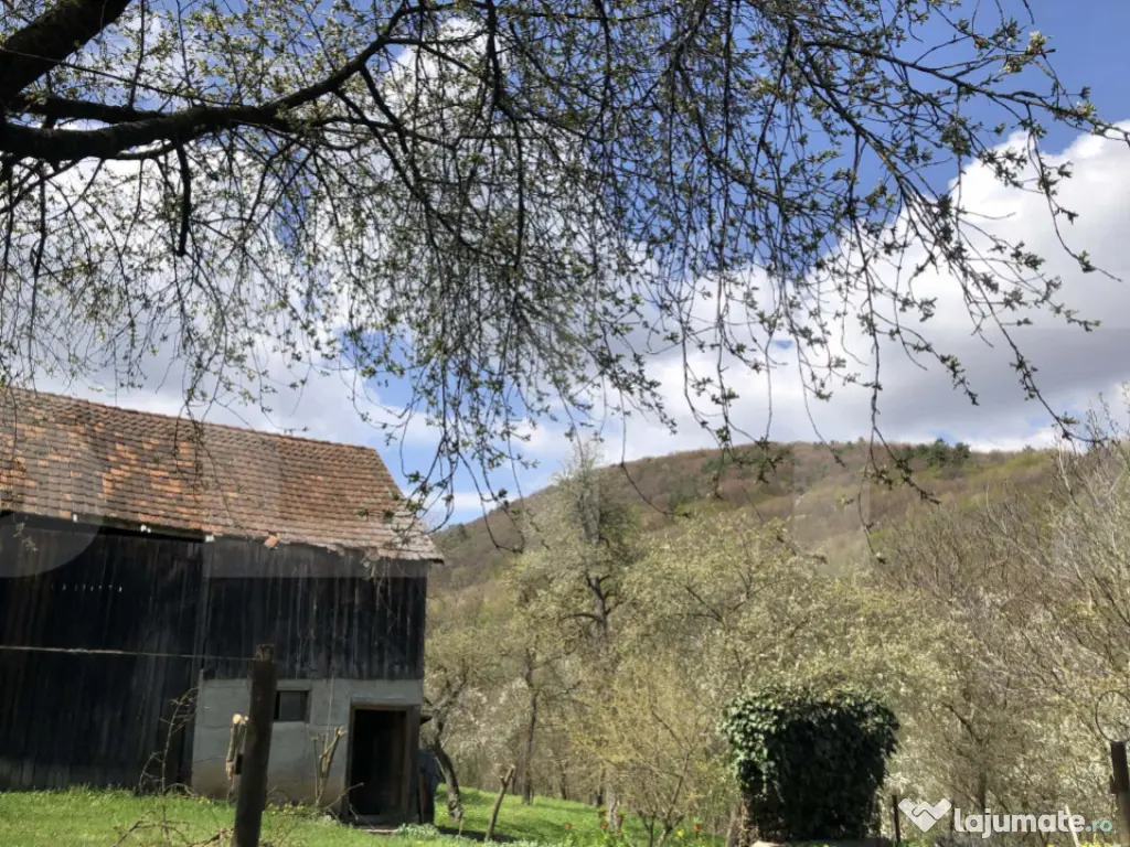 Casă rustică cu livadă în Zălan